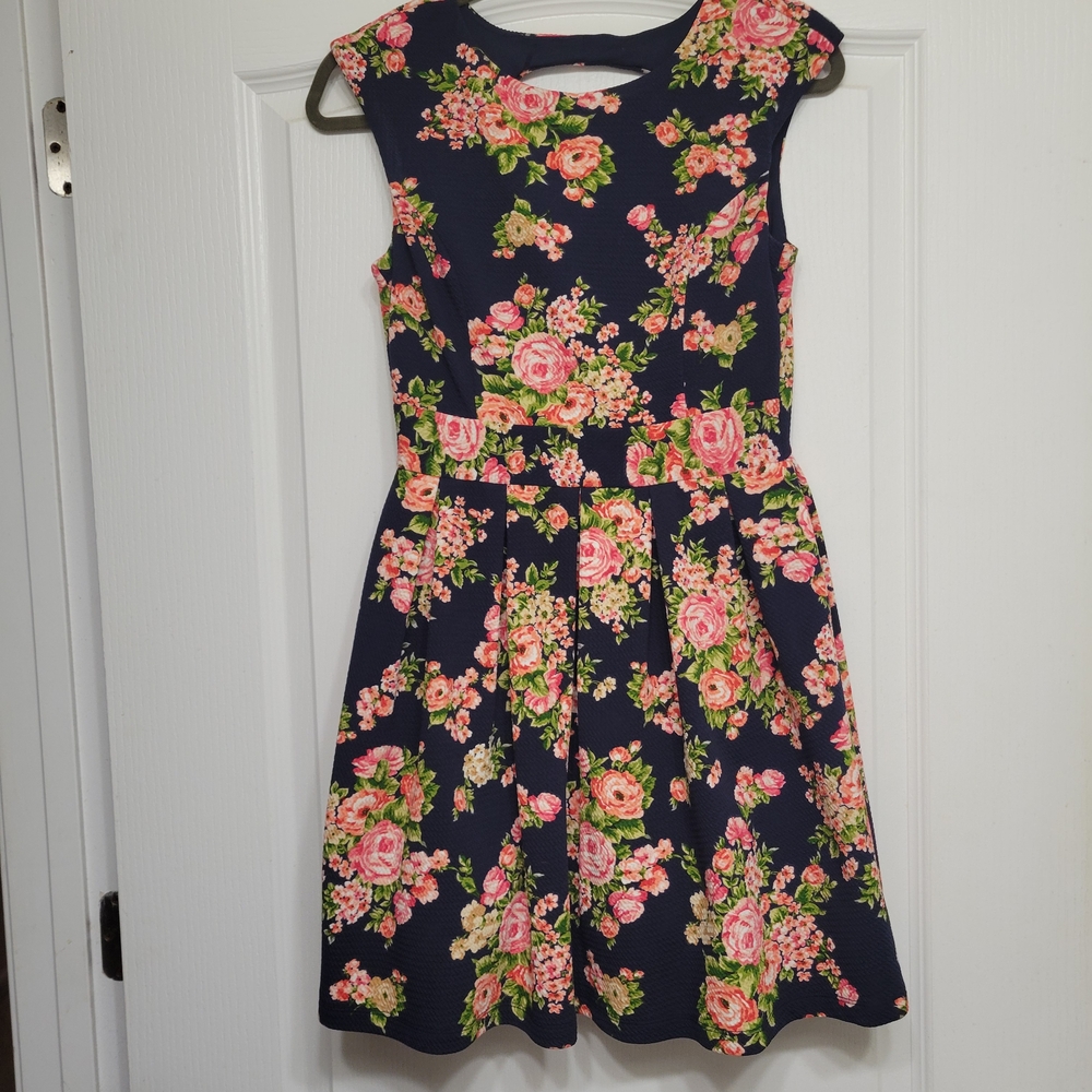 Emerald Sundae Navy and Pink Floral Mini Dress